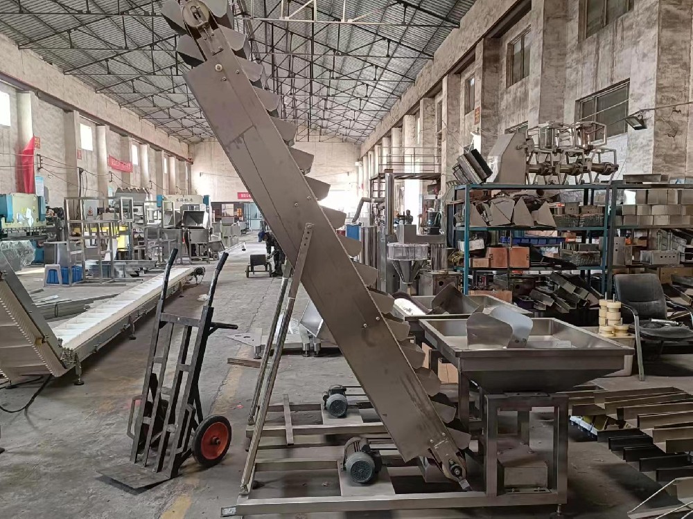 山東斗式提升機